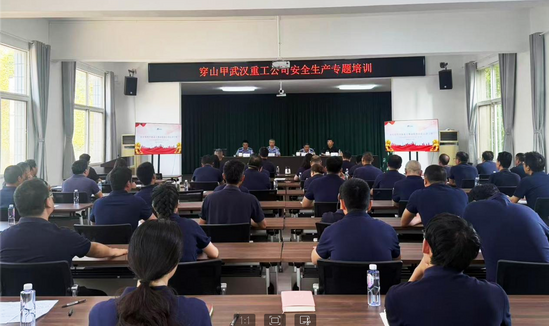安全生产专题培训.png
